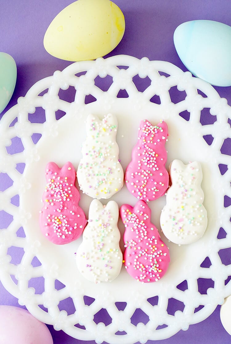 adorable diy circus animal cookies 