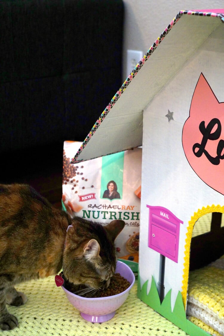 homemade kitty house made from cardboard