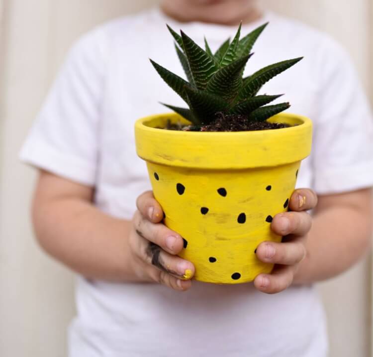 cute planter decorated to look like a pineapple