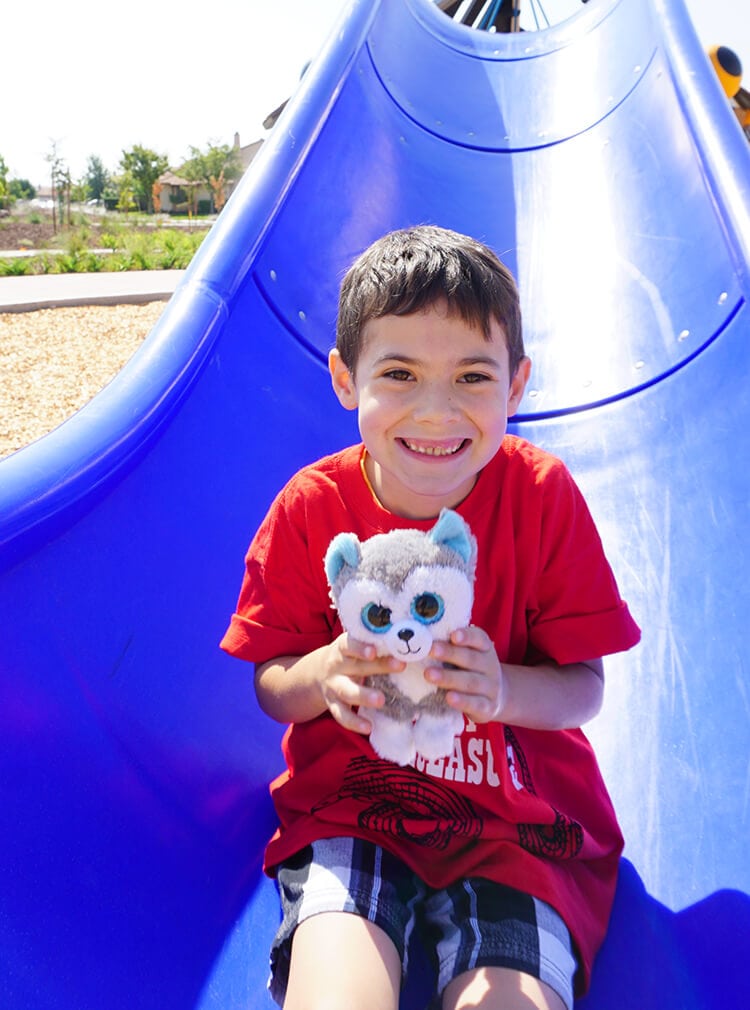 adorable smiling boy holding stuffer dog on the bottom of a slide