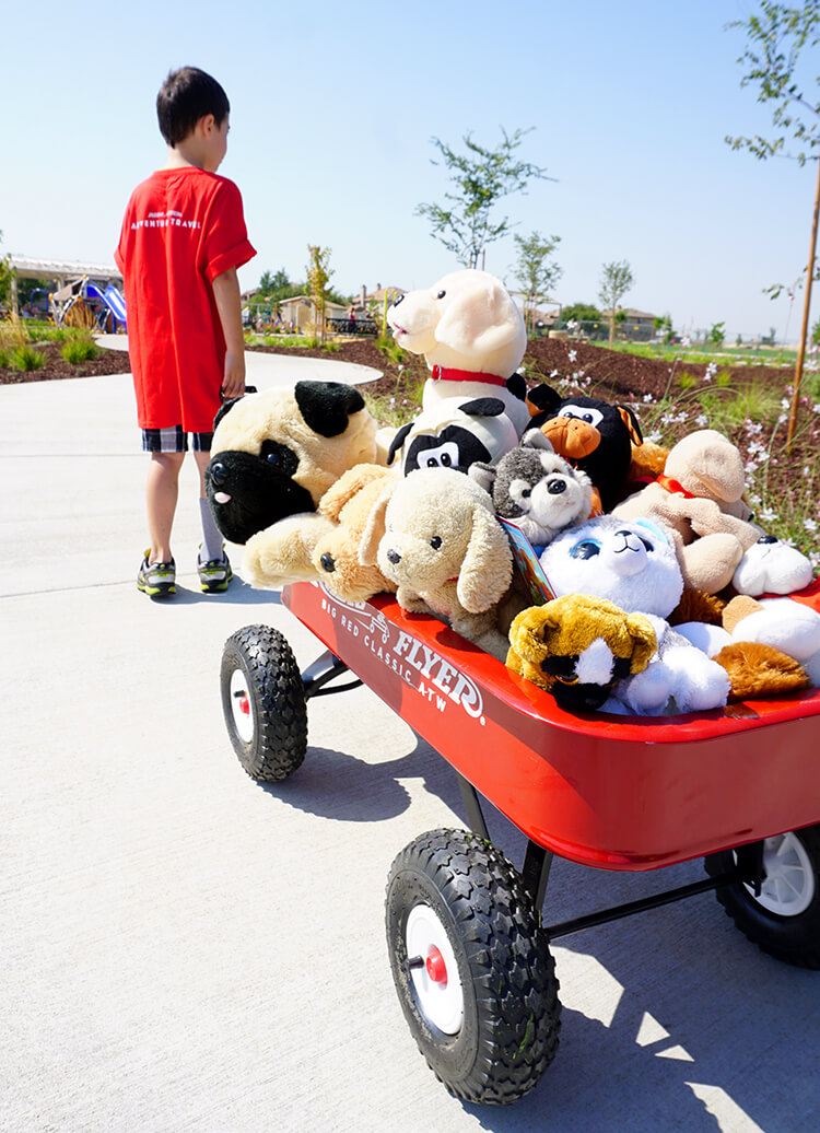 Summer Staycation Ideas for Families