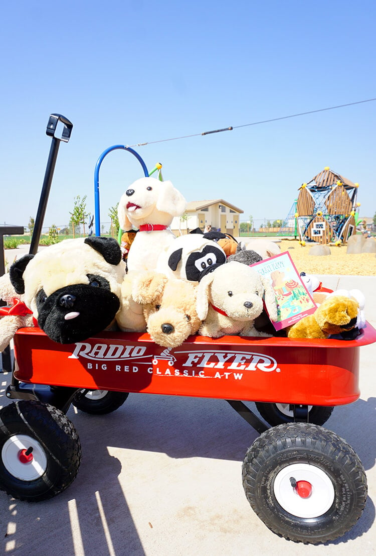 radio flyer wagon with puppies