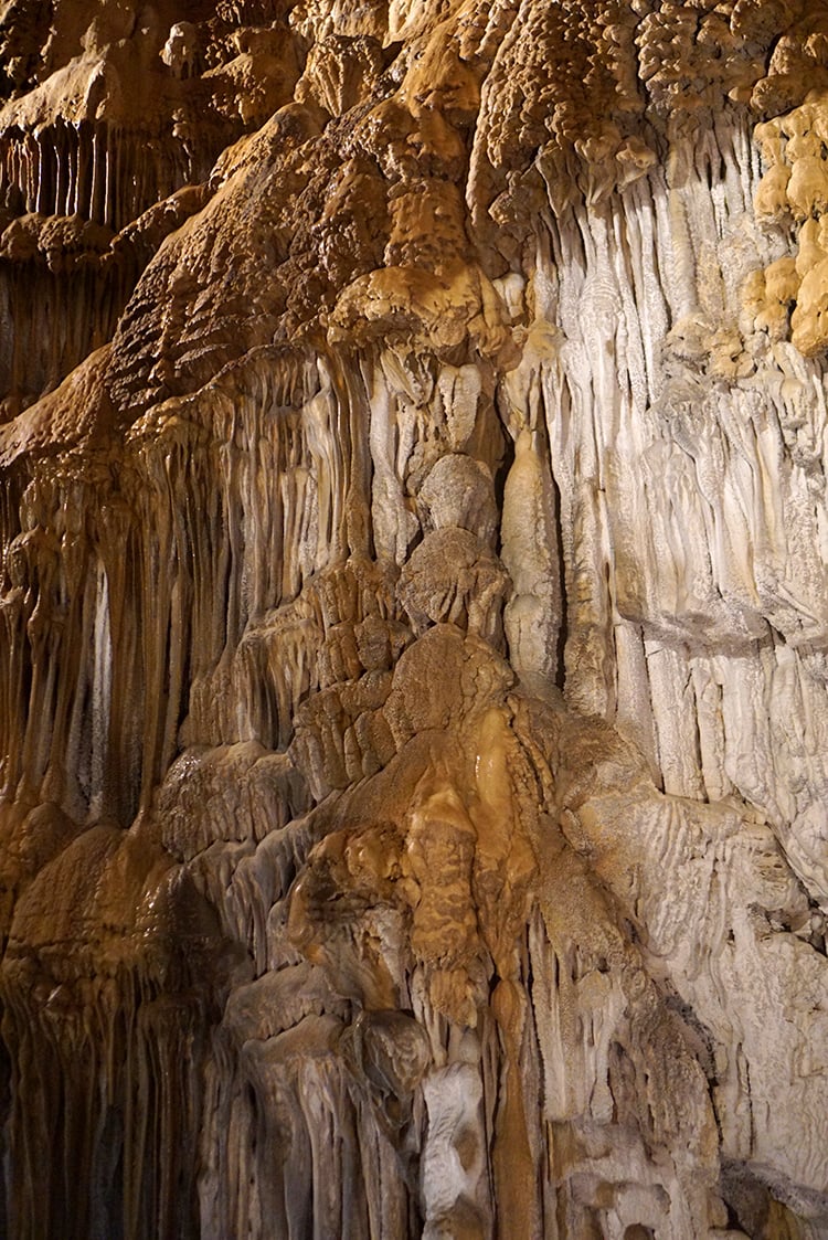 lake shasta caverns guided tour 