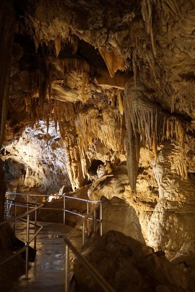 lake shasta caverns tour view