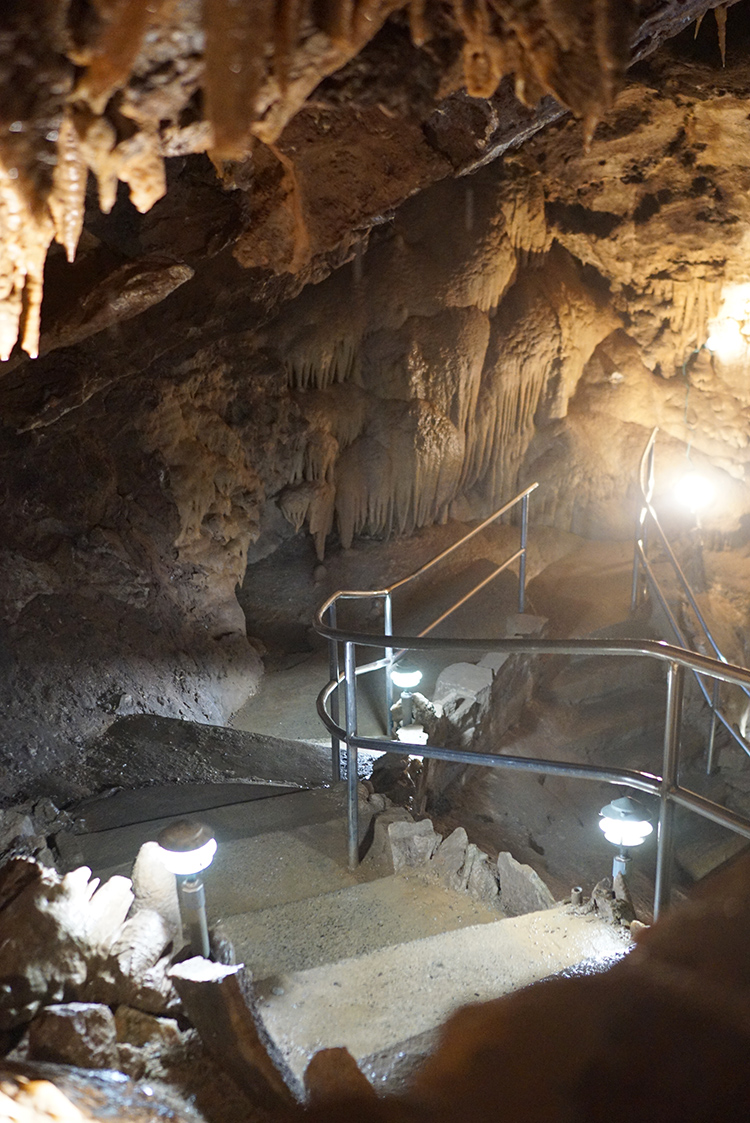 stairs inside of guided tour at shasta caverns 