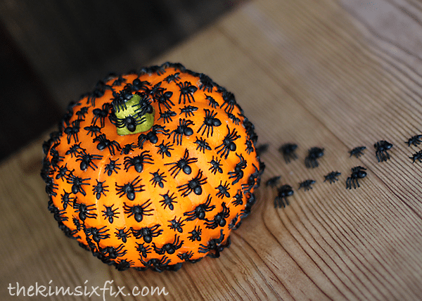 spiders crawling up pumpkin