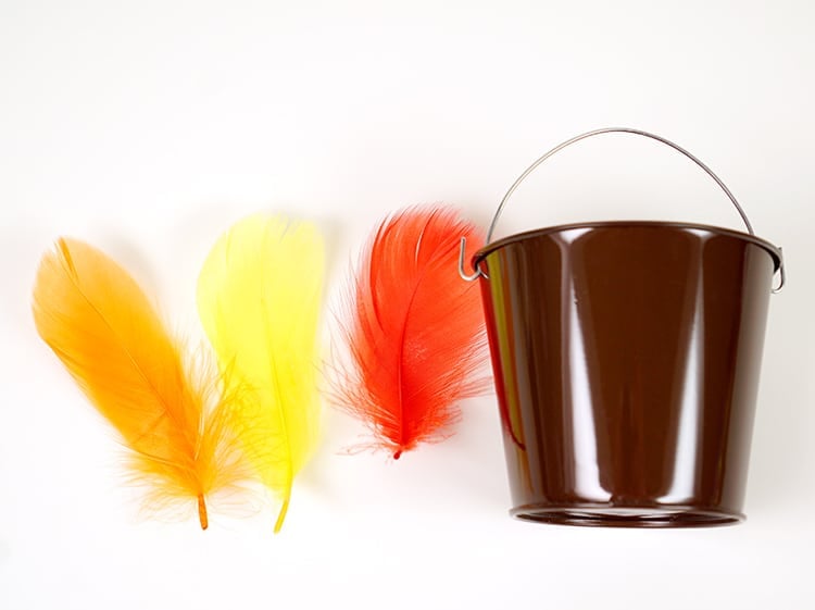small brown bucket and fall colored feathers