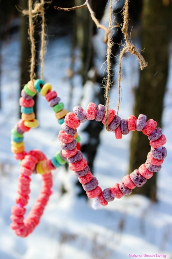 heart shaped bird feeders in snowy outdoors