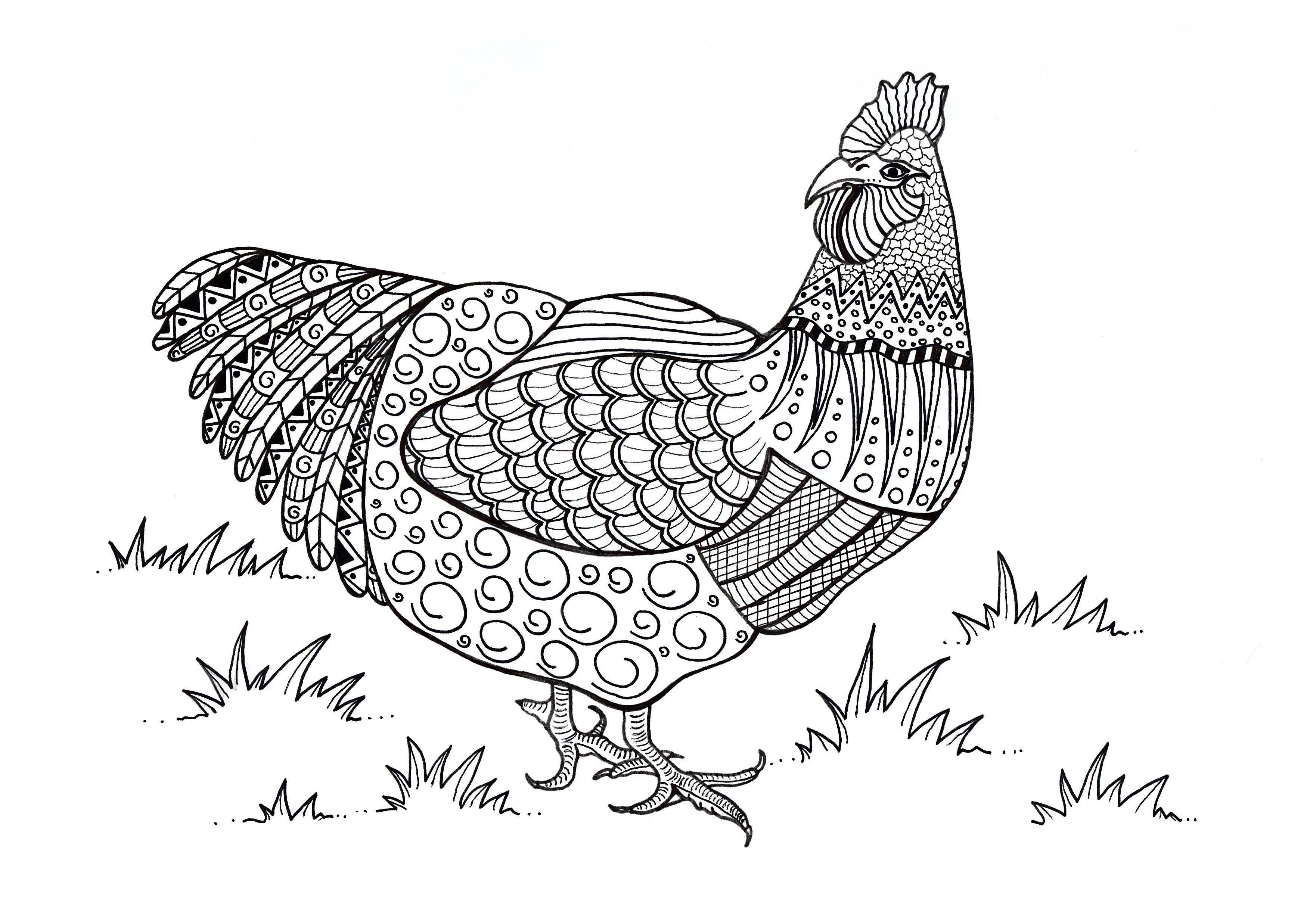 4500 Top Bird Bath Coloring Pages For Free