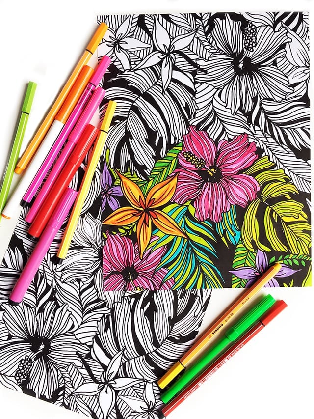 printable coloring pages for adults with pens
