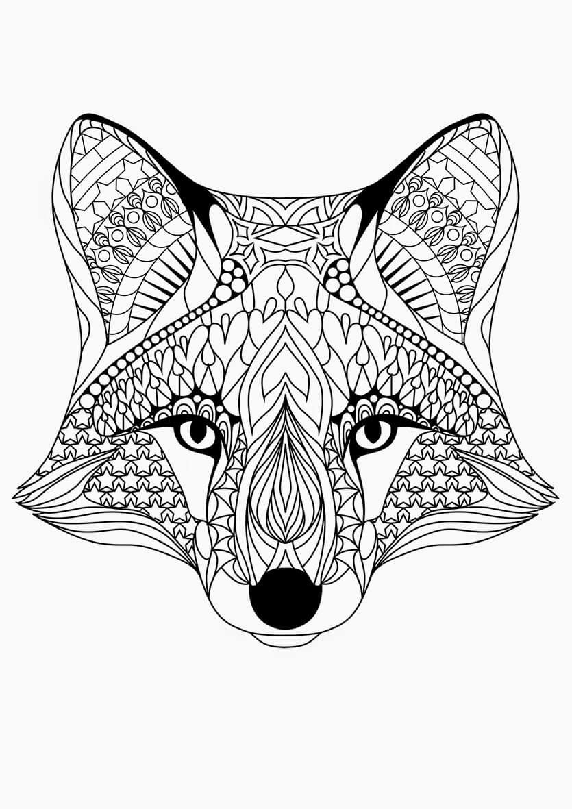 printable coloring pages for adults fox mandala