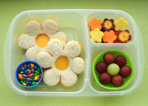 flower shaped fruits and sandwich in lunch box