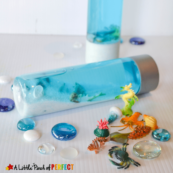 ocean aquarium sensory bottle for kids