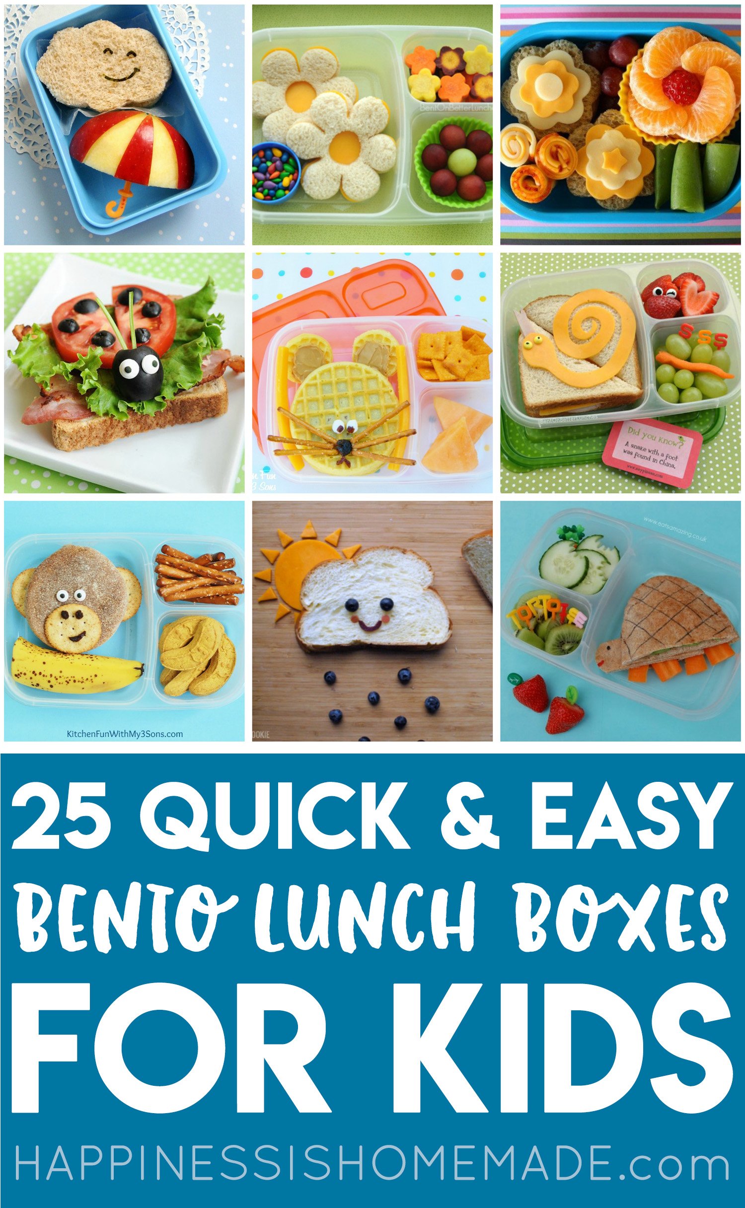 25 Easy Bento Lunch Boxes for Kids Happiness is Homemade