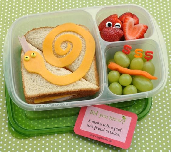 snake bento box lunch box for kids