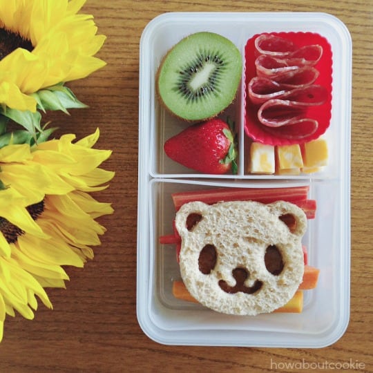 cute smiling panda bento box with sunflowers nearby