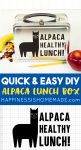 quick and easy diy alpaca lunch box 