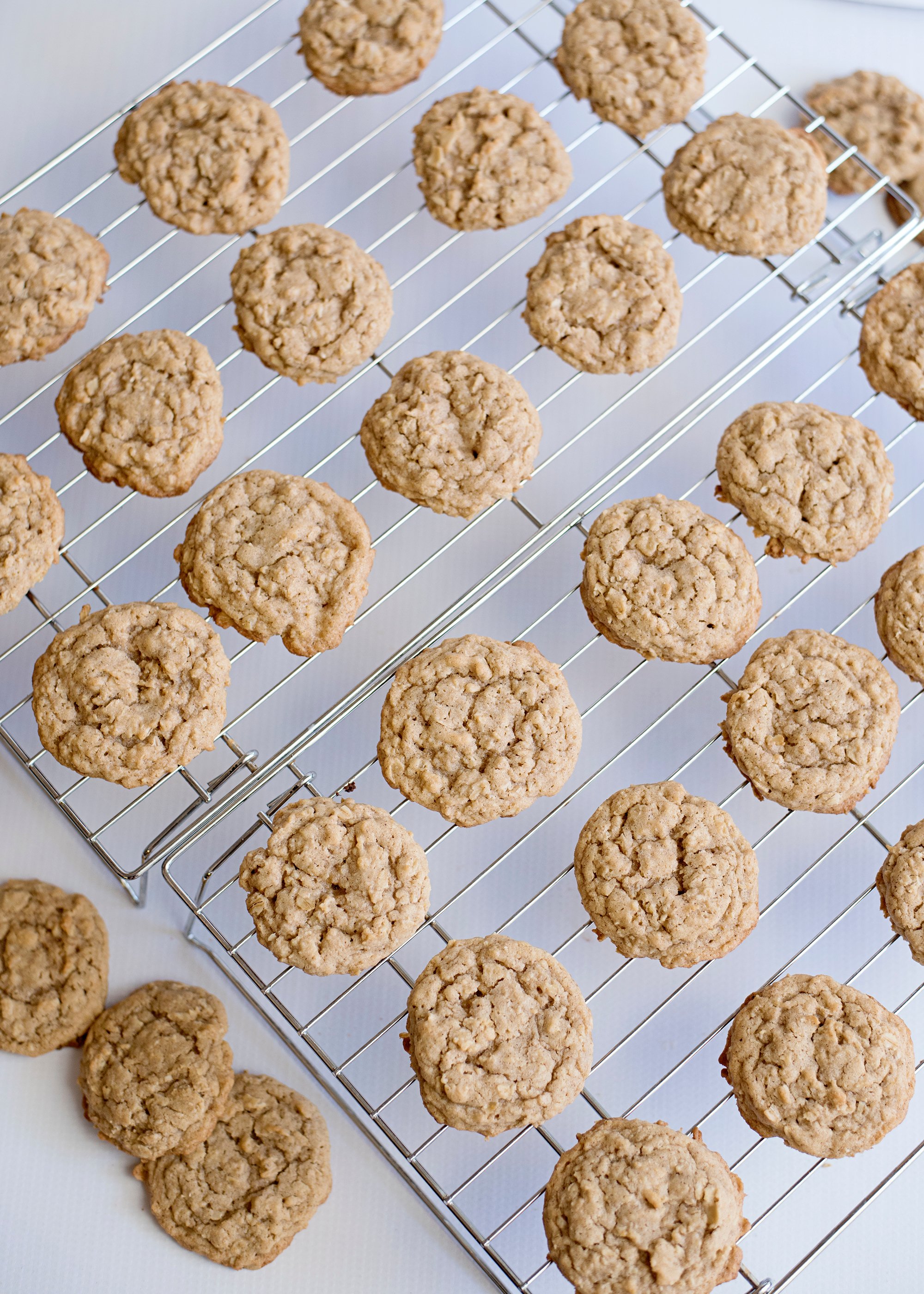 the best oatmeal cookies on rack