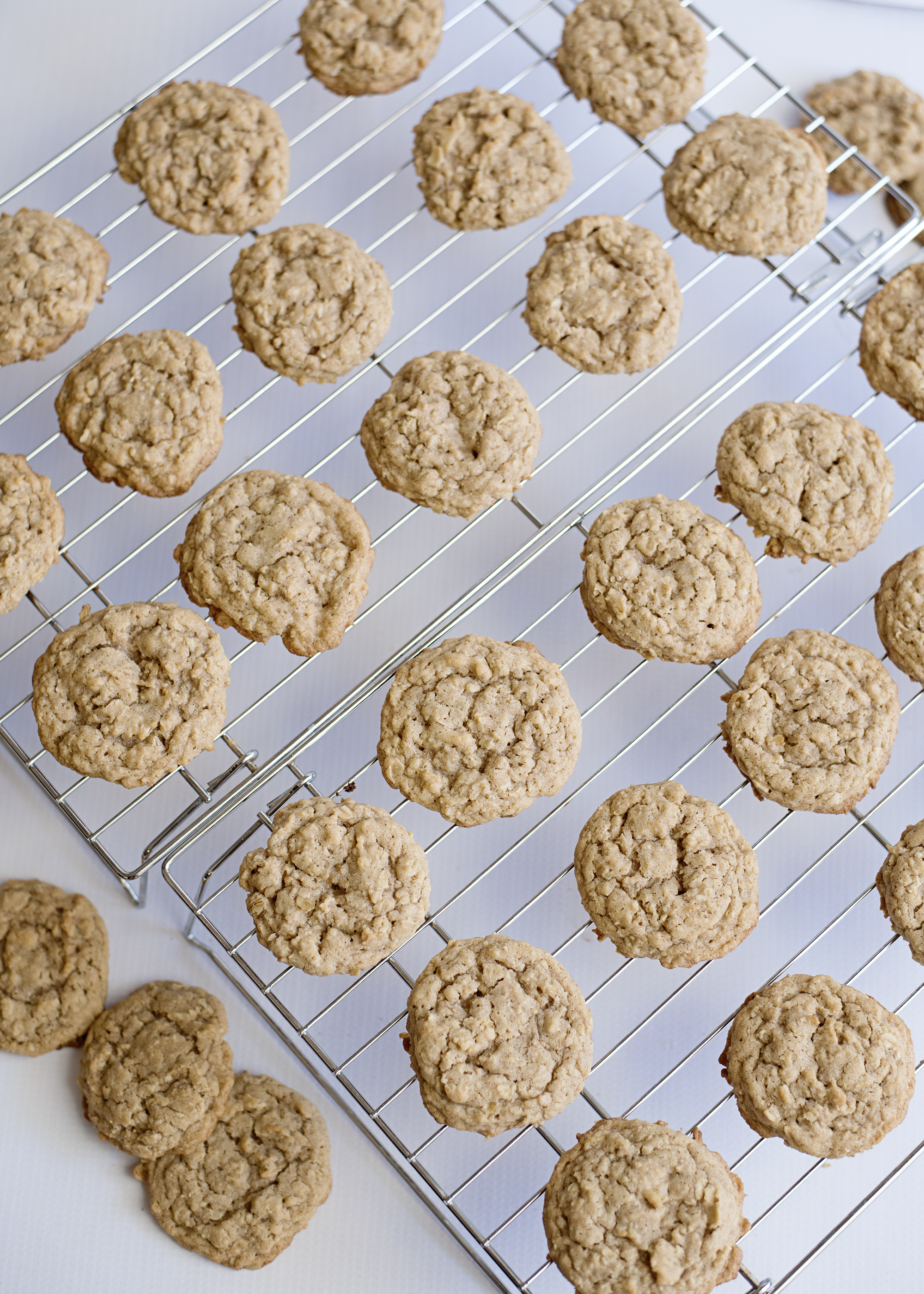 the best oatmeal cookies on rack