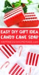 easy diy gift idea candy cane soap