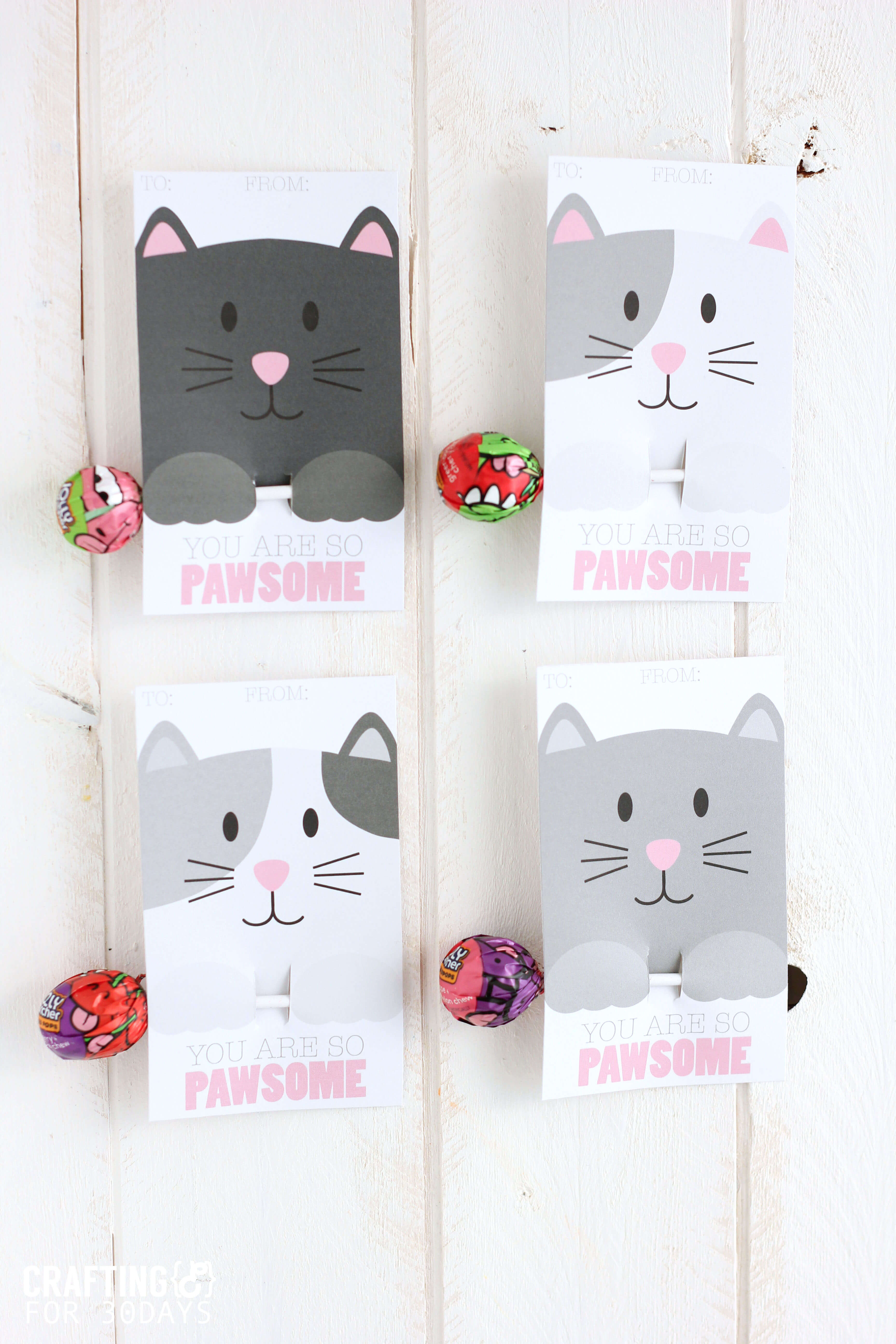 cute kitty valentines day cards