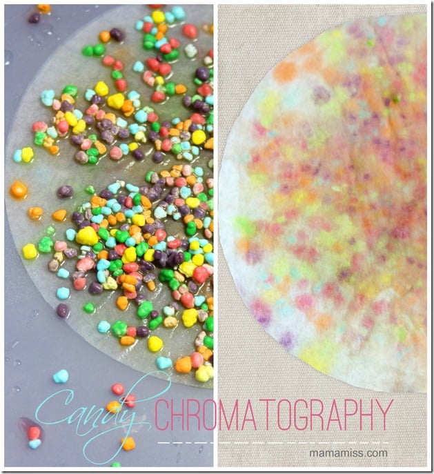 candy chromatography science experiement