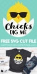 chicks dig me svg file and shirt 