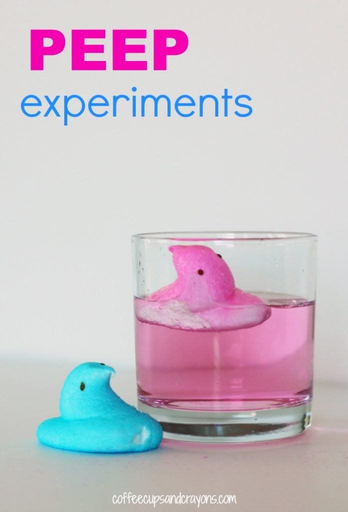 easter peeps science experiment for children