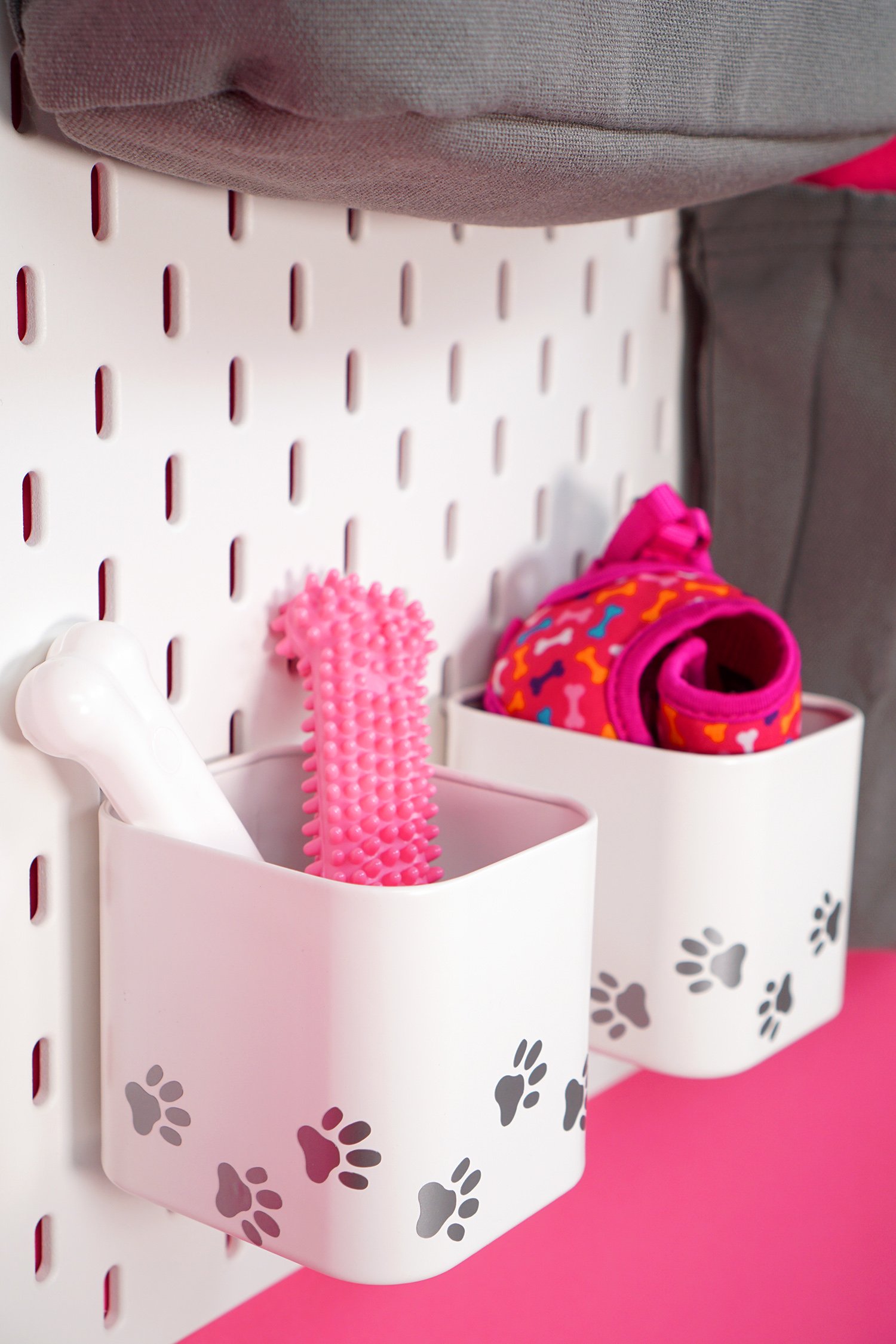 cute pet organizers made with cricut