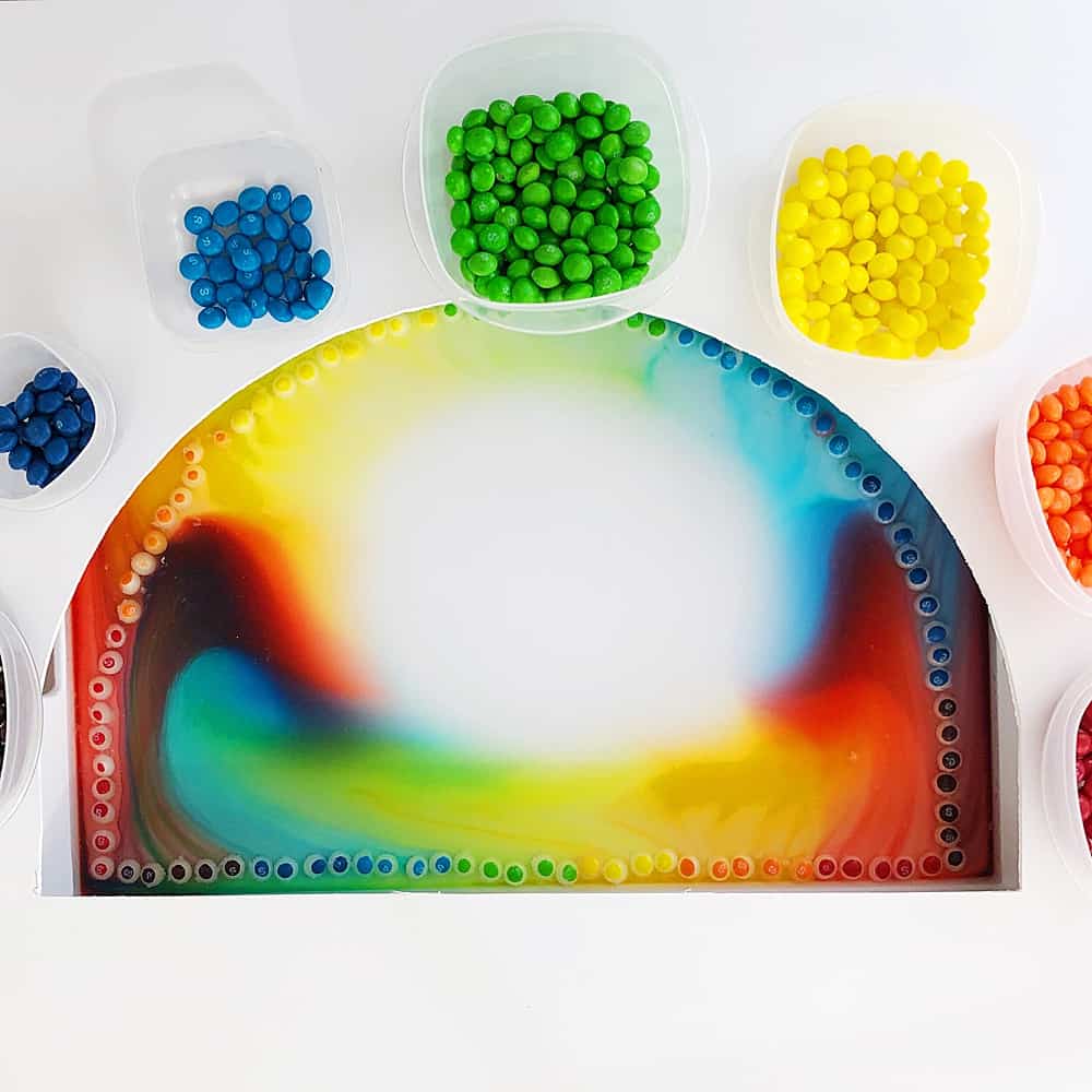 rainbow skittles stem science experiment
