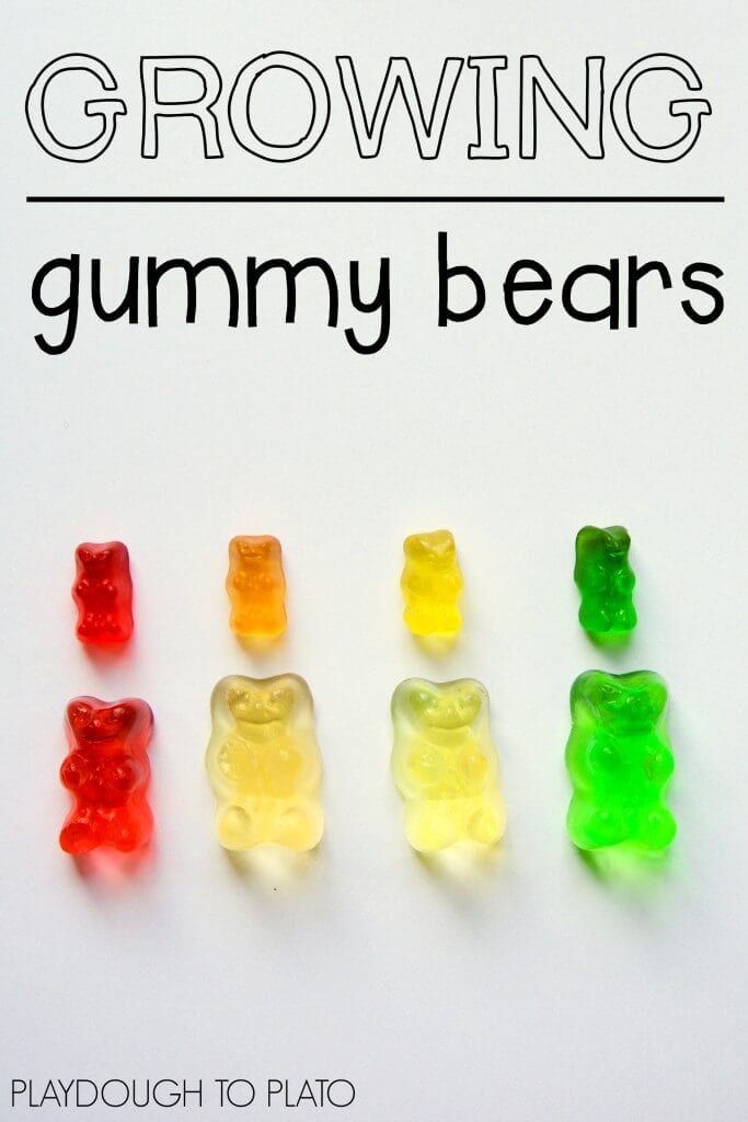 gummy bears fun science experiments for kids