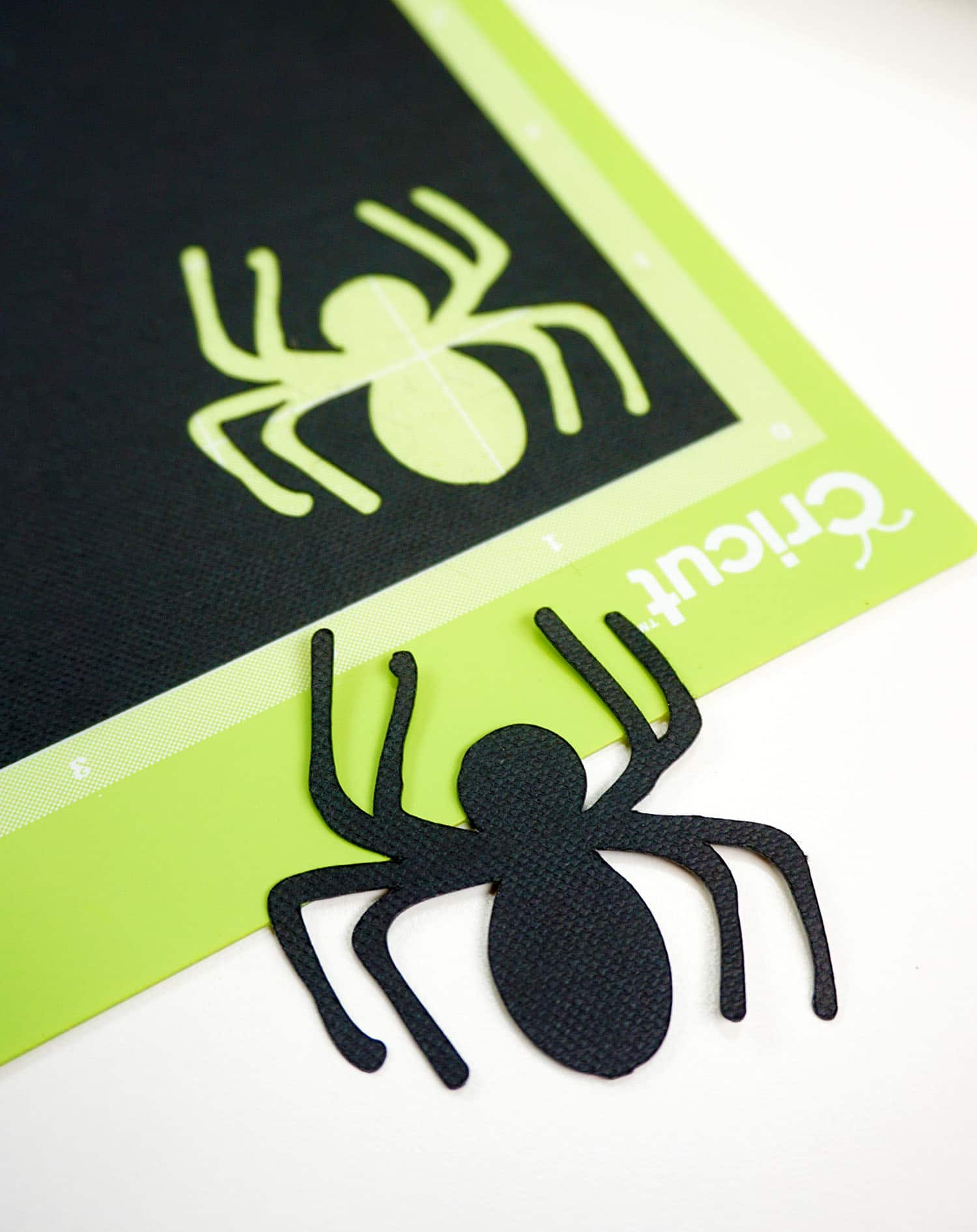 cricut paper spider cut out 