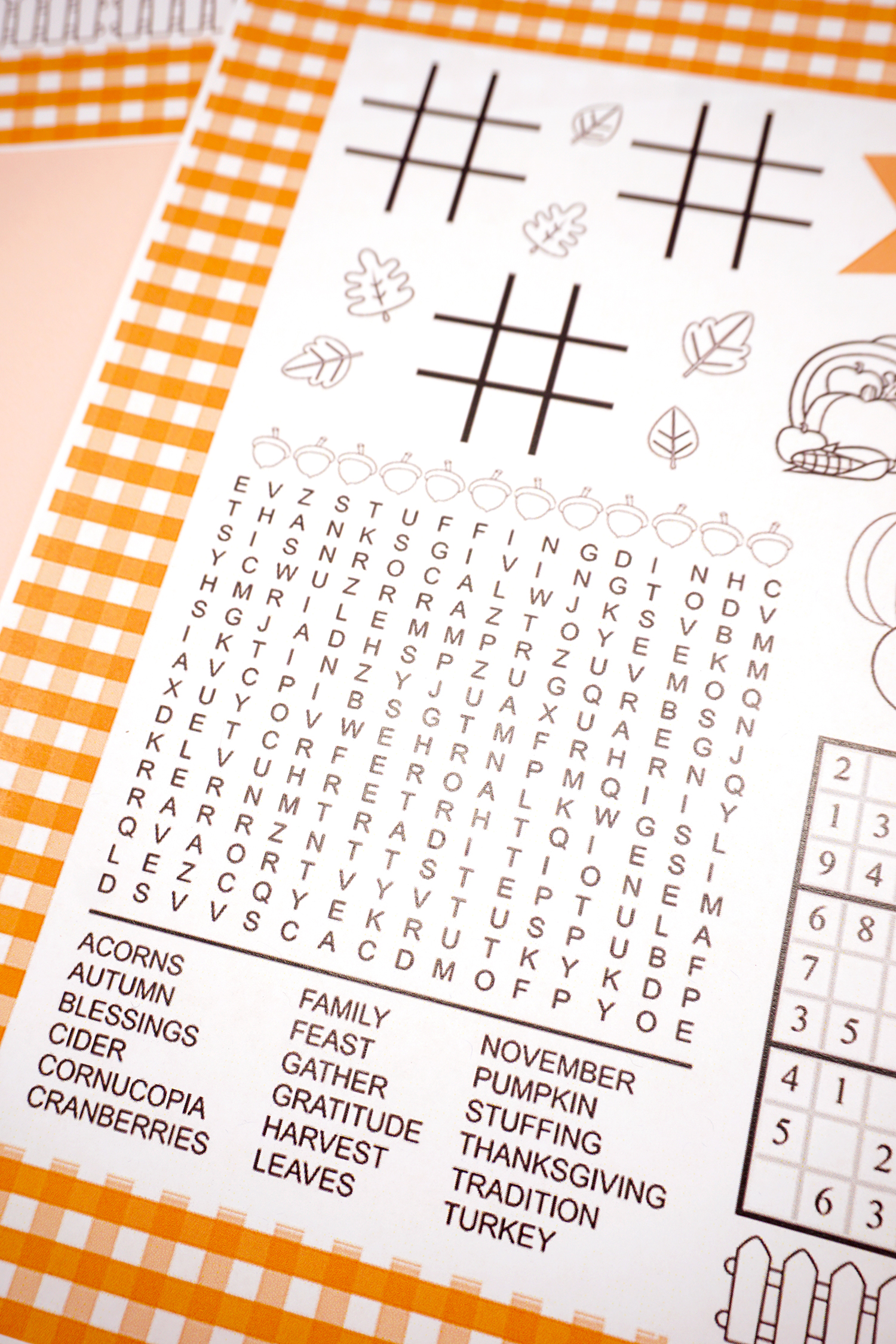 word search and more on printable thanksgiving placemats