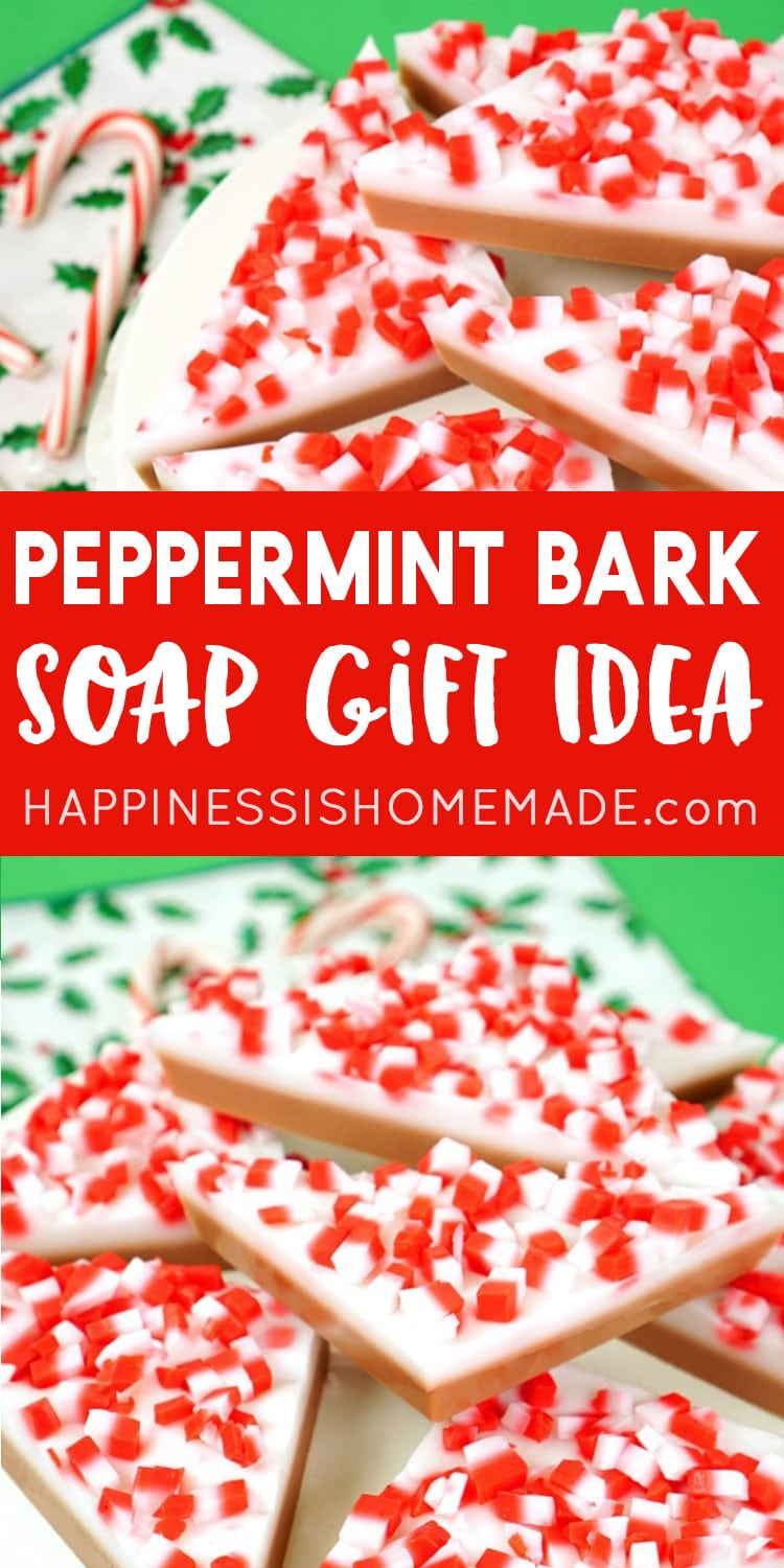 Peppermint Bark Soap on a plate