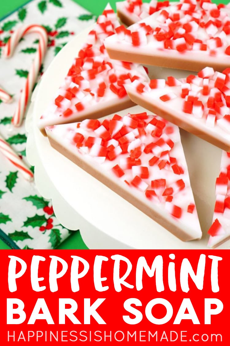 Peppermint Bark Soap on a plate