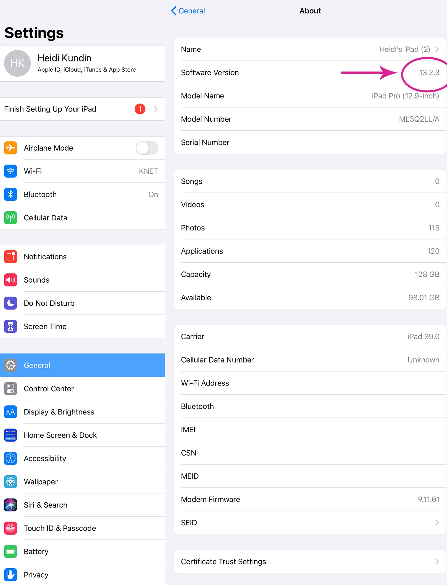general settings in iphone