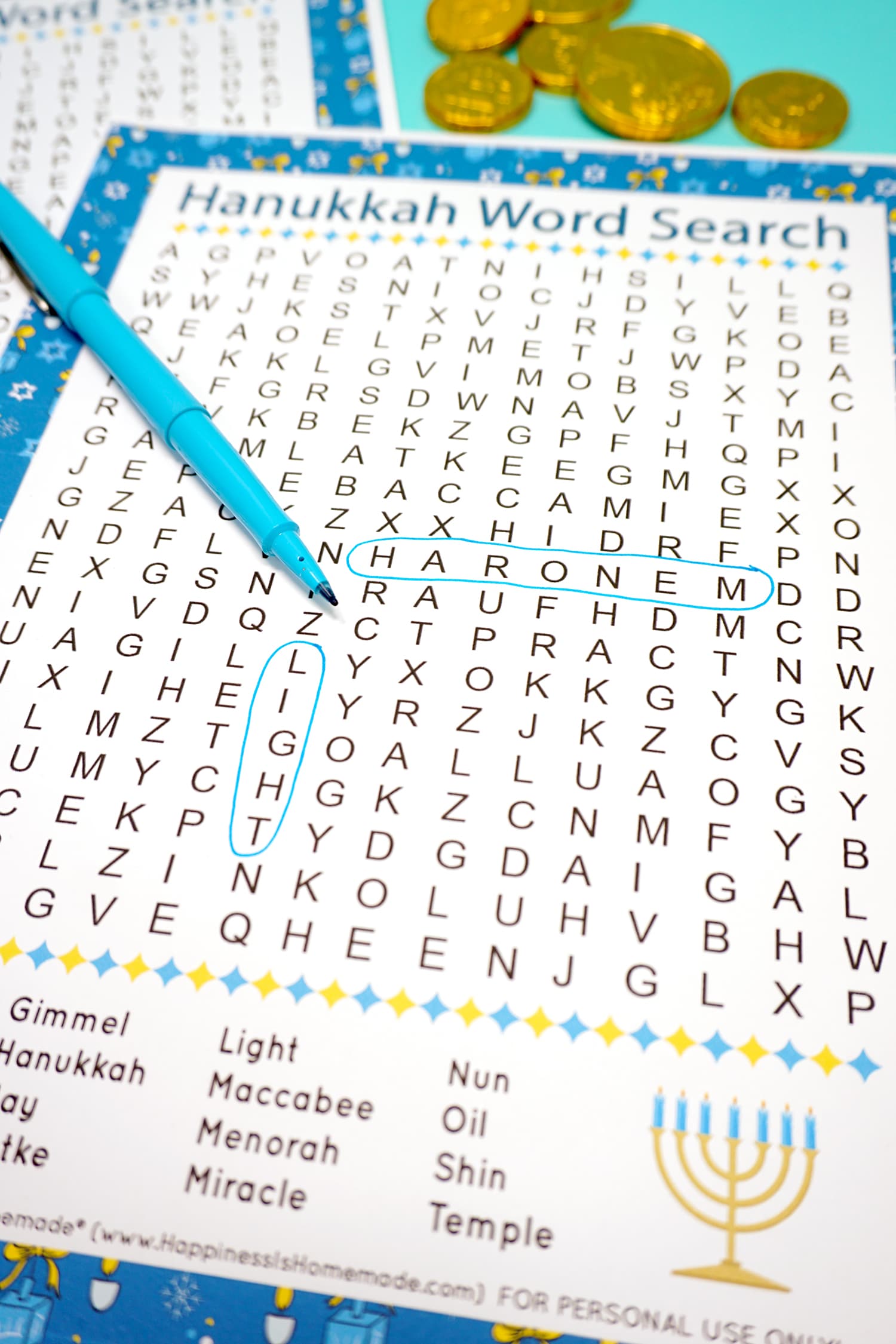 words circled in word search game