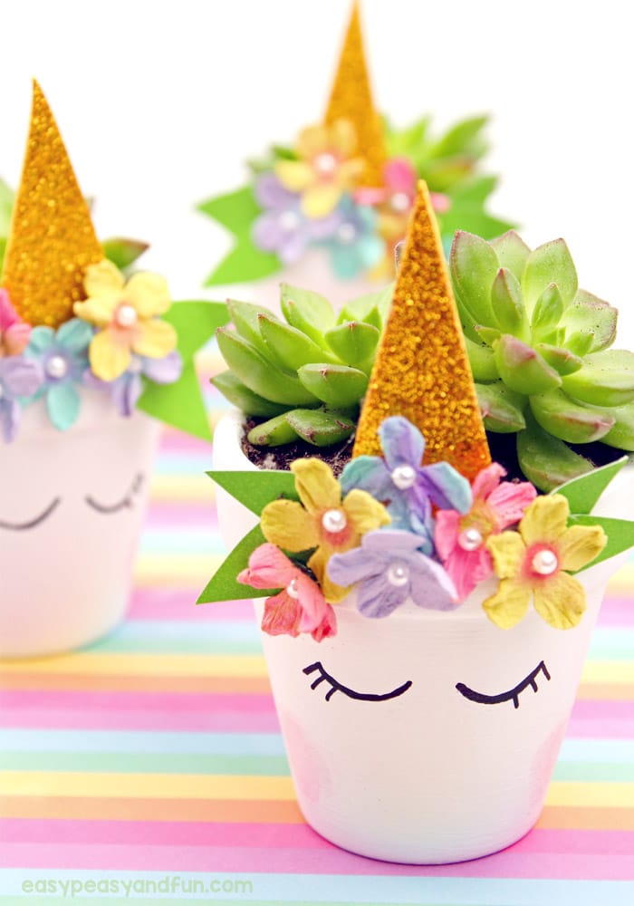 unicorn succulent flower pot planters