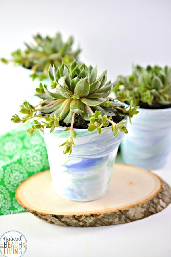 pretty marble painted flower pots with succulents
