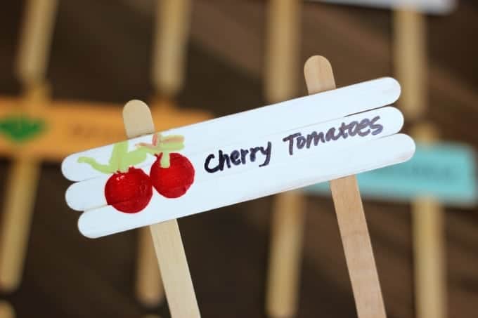 craft stick vegetable garden markers