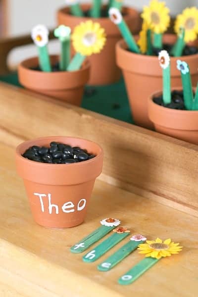 craft sticks made into a fake flowers and clay pot filled with beans