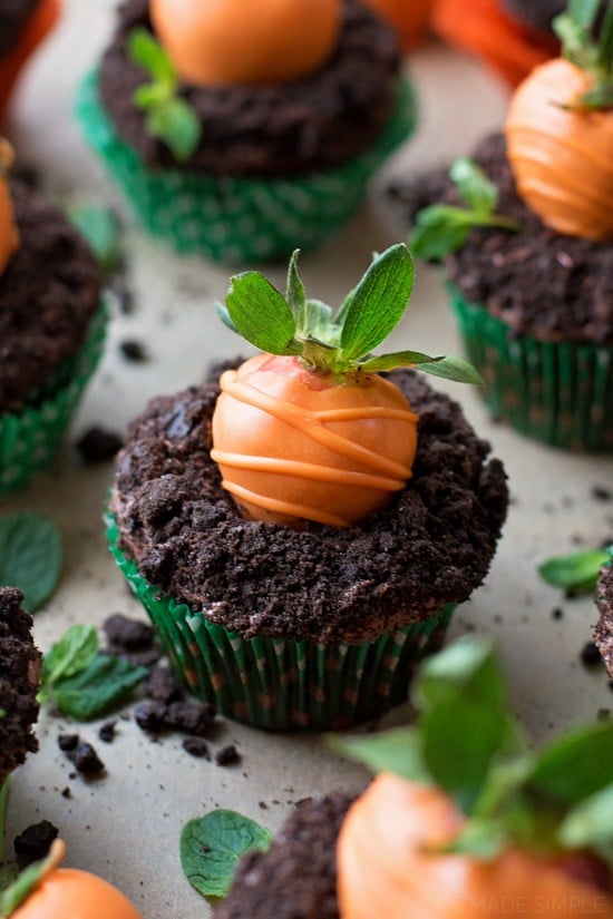 carrot patch cupcakes with tiny leaves