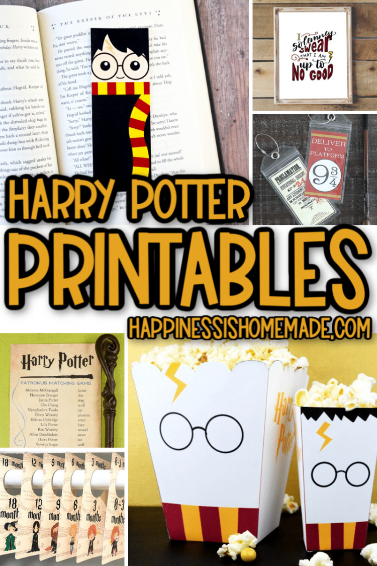 Harry Potter Bookmark/Book Mark/Potter Fan/Gift/Birthday Gift