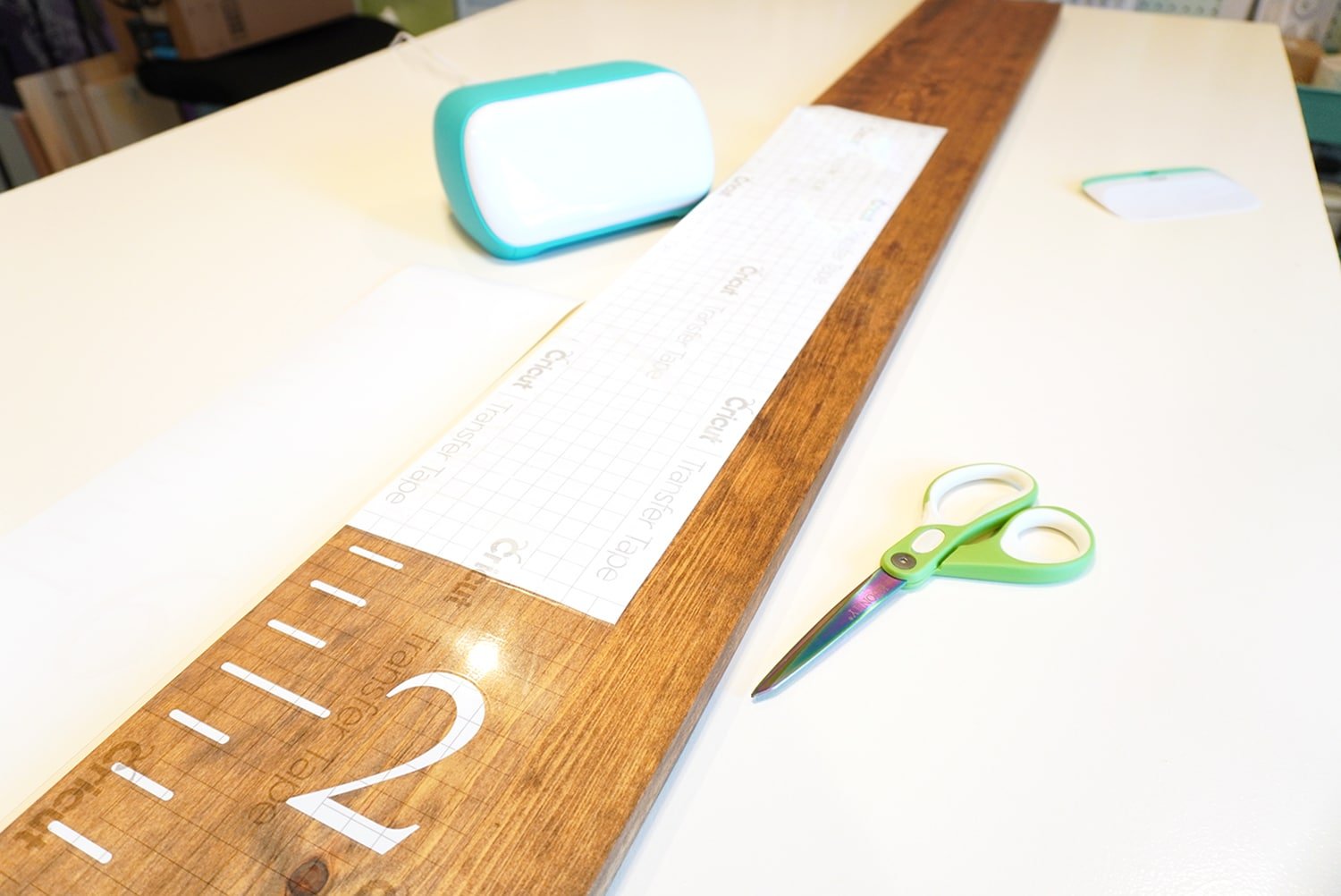 supplies for making Iiy growth chart on table