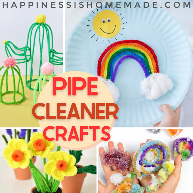 Pipe Cleaner Crafts 