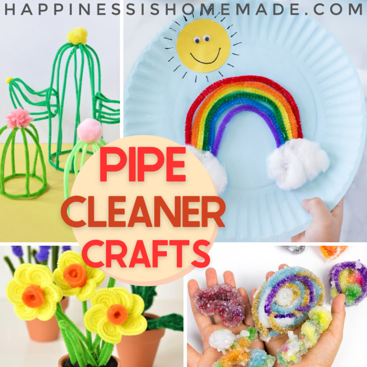 Pipe Cleaner Crafts for Kids