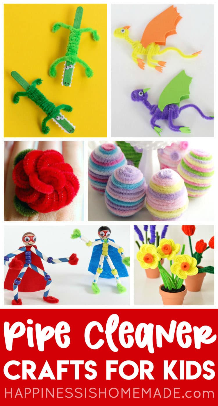 Pipe Cleaner Flower - Mother's Day Craft  Mothers day crafts, Pipe cleaner  flowers, Valentines art for kids