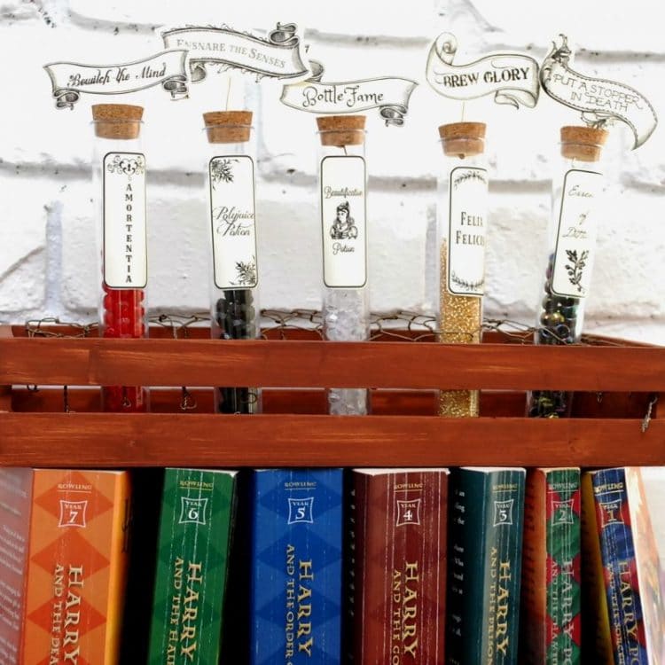 harry potter potion bottles halloween decorations with  shelf of HP books