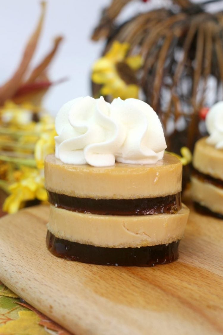 baileys jello shot with whipped cream topping