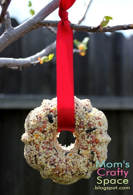 bird seed covered ornaments hung on tree